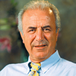 Güngör Mengi